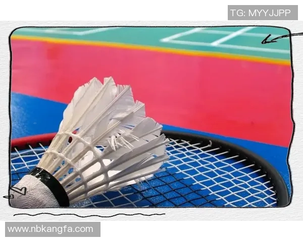 从零基础到高手之路羽毛球技巧与训练全方位指南